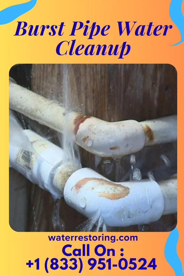 Burst Pipe Water Cleanup in Grosse Pointe Woods, MI