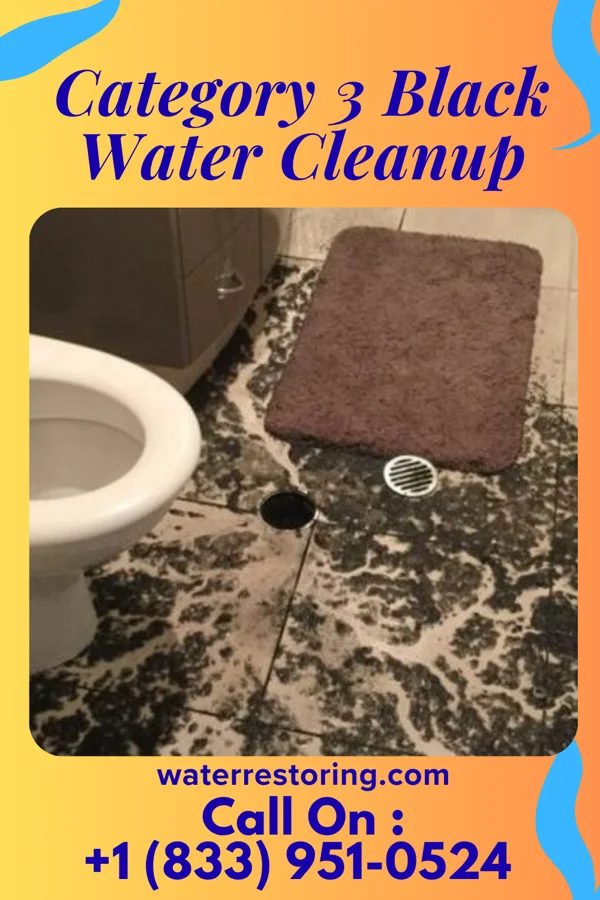 Category 3 Black Water Cleanup in Grosse Pointe Woods, MI