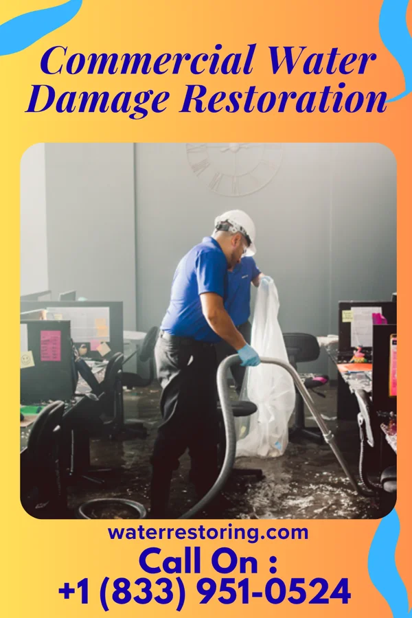 Commercial Water Damage Restoration in Grosse Pointe Woods, MI