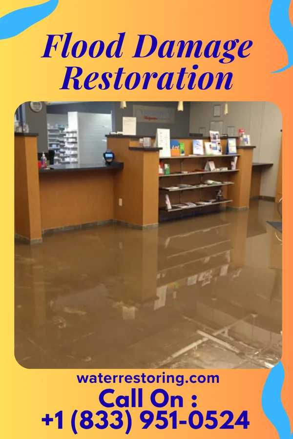 Flood Damage Restoration in Grosse Pointe Woods, MI