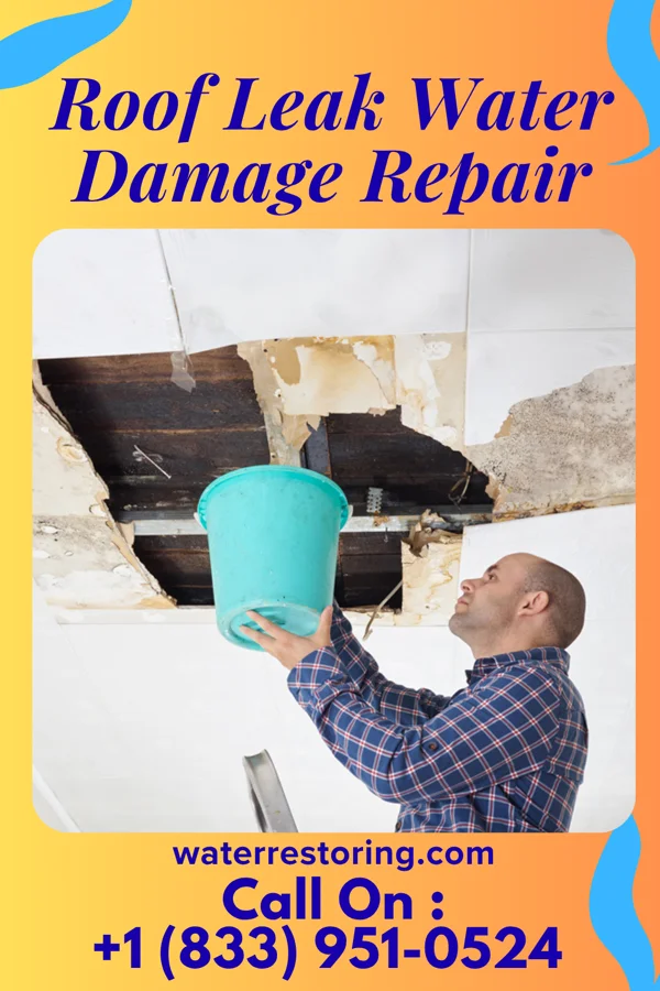 Roof Leak Water Damage Repair in Grosse Pointe Woods, MI