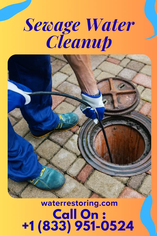 Sewage Water Cleanup in Grosse Pointe Woods, MI